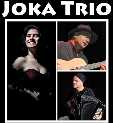 Joka Trio Internet 383
